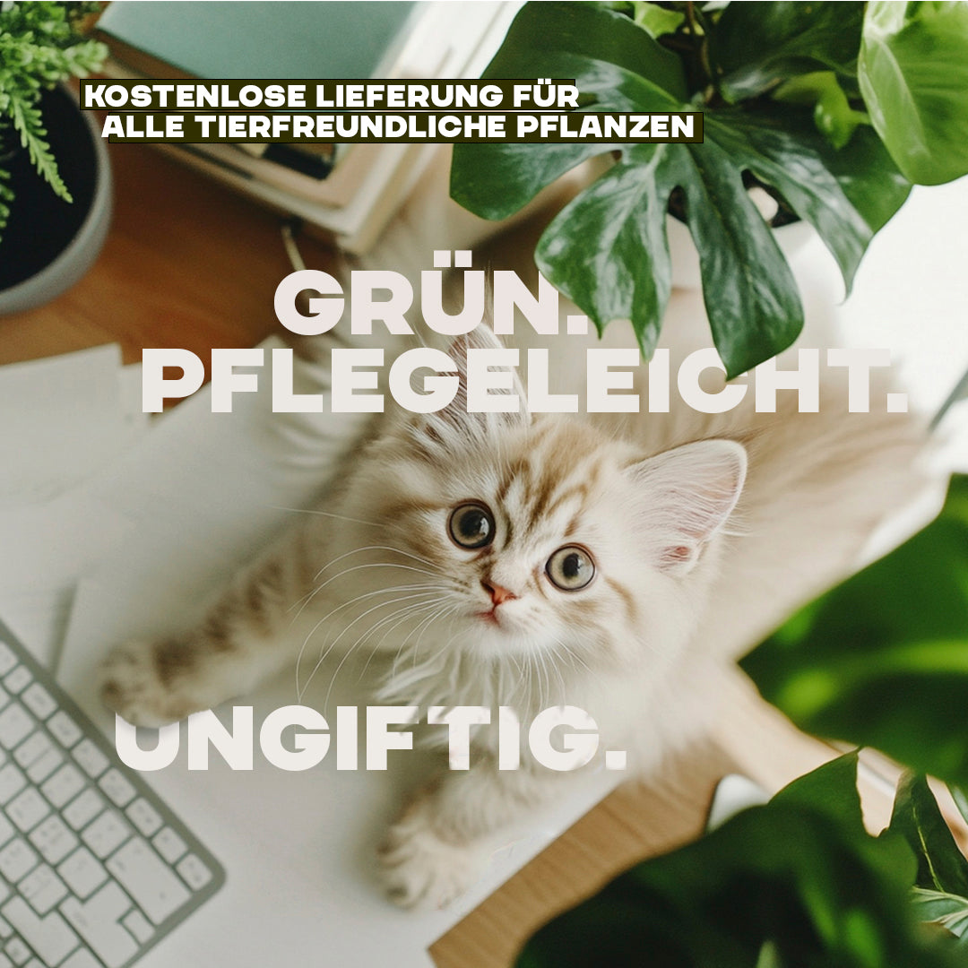 ungiftige pflanzen