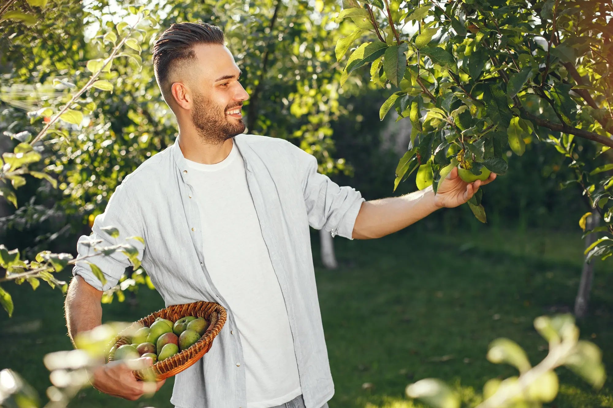 Obstpflanzen